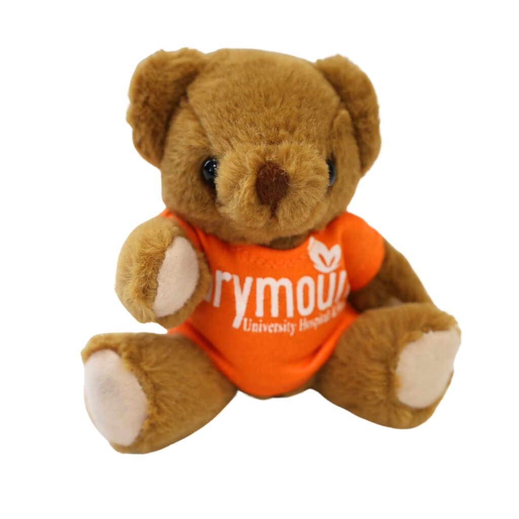 Marymount Teddy