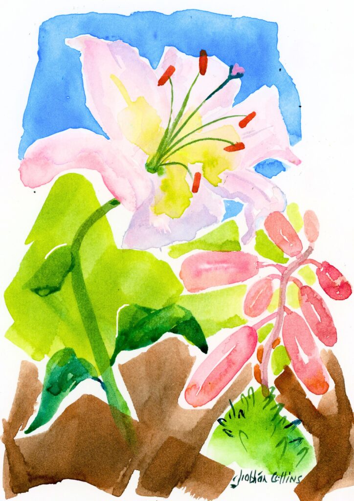 Greeting Card with artwork by Siobhán Collins
