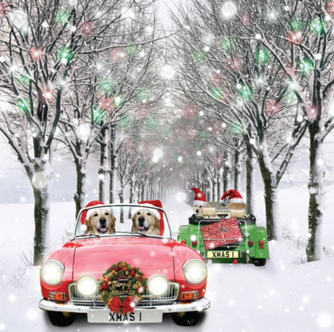 Christmas Cards - Dogs in Cars