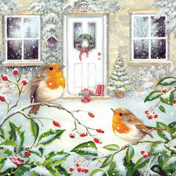 Christmas Cards - Christmas Robins