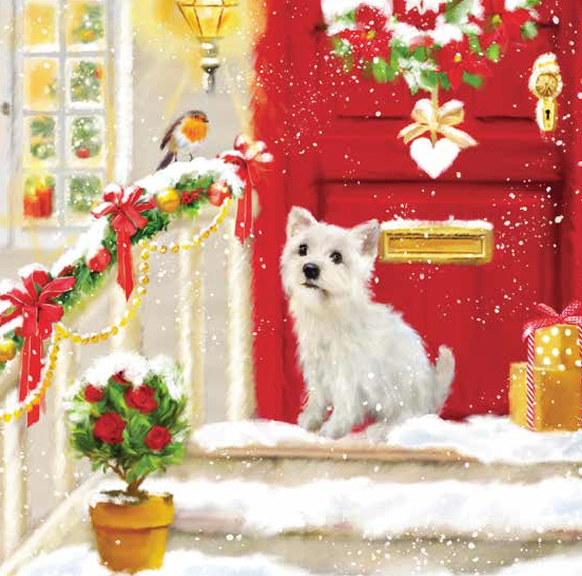 Christmas Cards - Dog and Robin